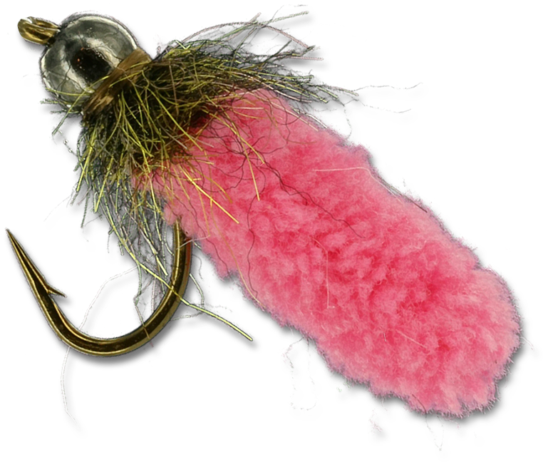 Mop Fly - Insect (800x800), Png Download
