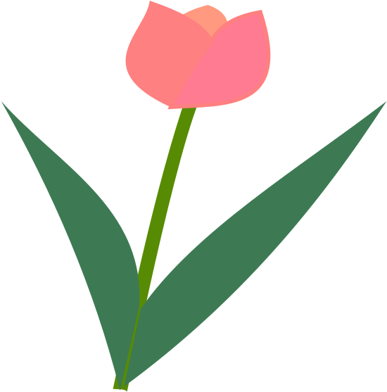 Tulip Flower - Icon - Sprenger's Tulip (666x666), Png Download
