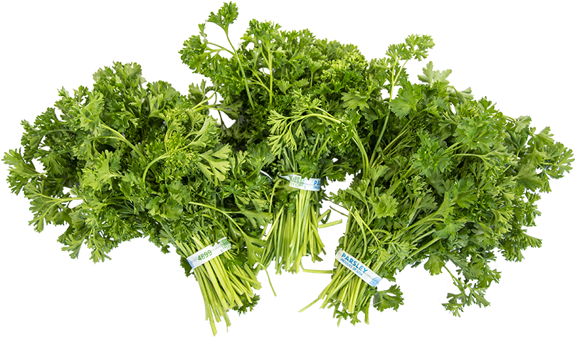 Our Italian Parsley Comes In 1, 2 1/2, And 5 Dozen, - Parsley (1000x600), Png Download