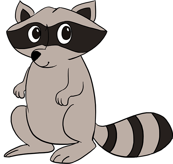 How To Draw Raccoon - Easy Raccoon Drawing (680x678), Png Download