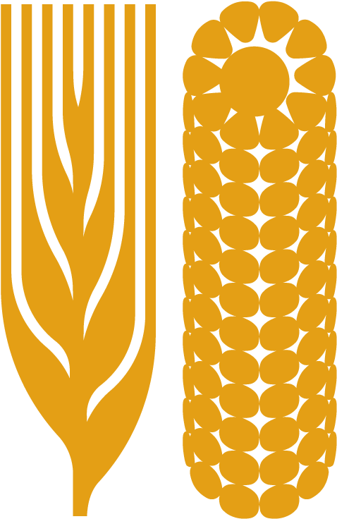 1330 X 880 1 - Corn Wheat Logo (1330x880), Png Download