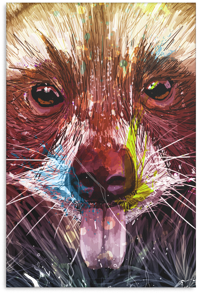 Racoon Canvas P96 - Red Fox (1024x1024), Png Download