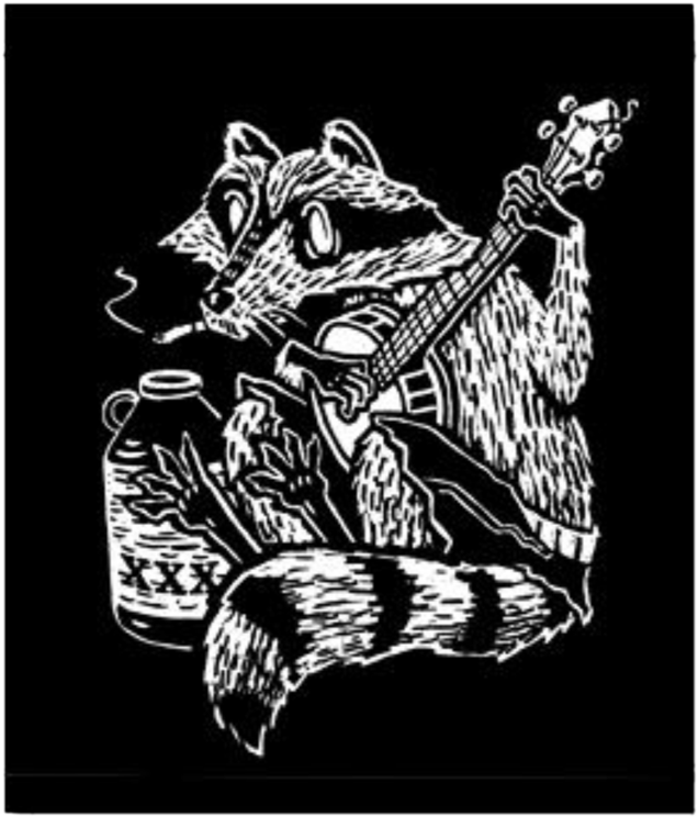 Raccoon Banjo Patch - Illustration (1024x1024), Png Download