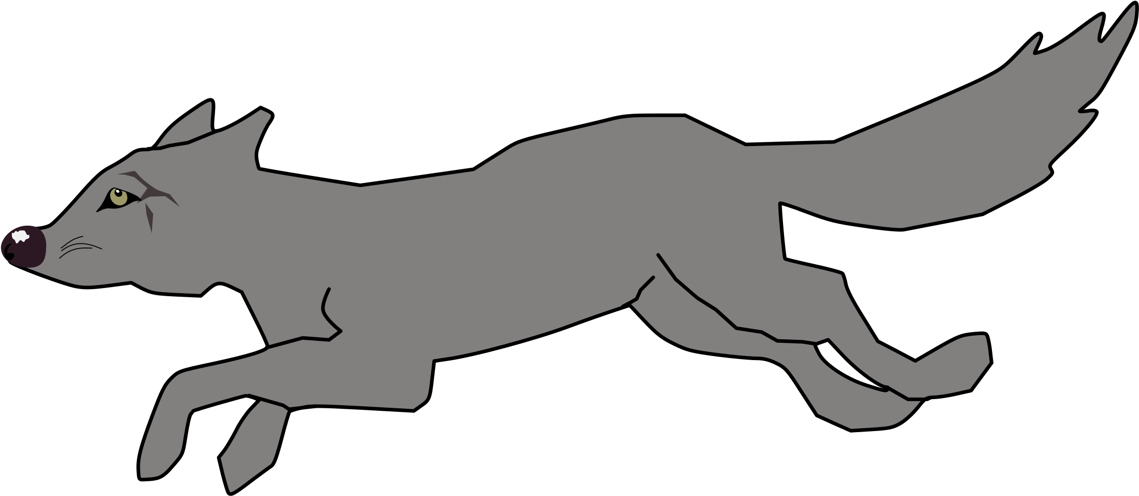 Big Image - Hungry Wiled Wolf Clipart (2400x1310), Png Download