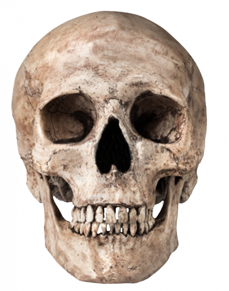 Skull Png - World Golf Championships Mexico (760x964), Png Download