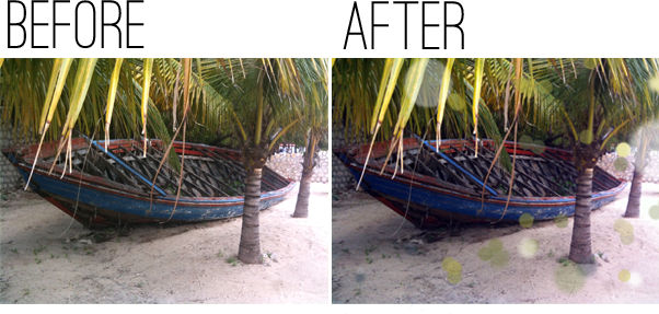 Labadee, Haiti - Attalea Speciosa (602x287), Png Download
