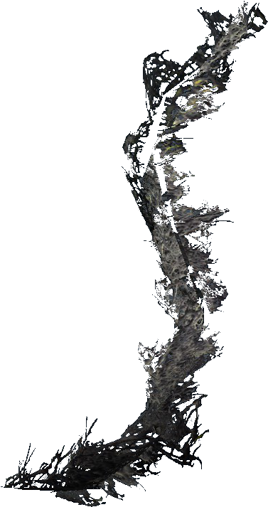 Moss Png Black (395x749), Png Download