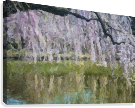 Hanging Cherry Blossoms Canvas Print - Painting (429x344), Png Download