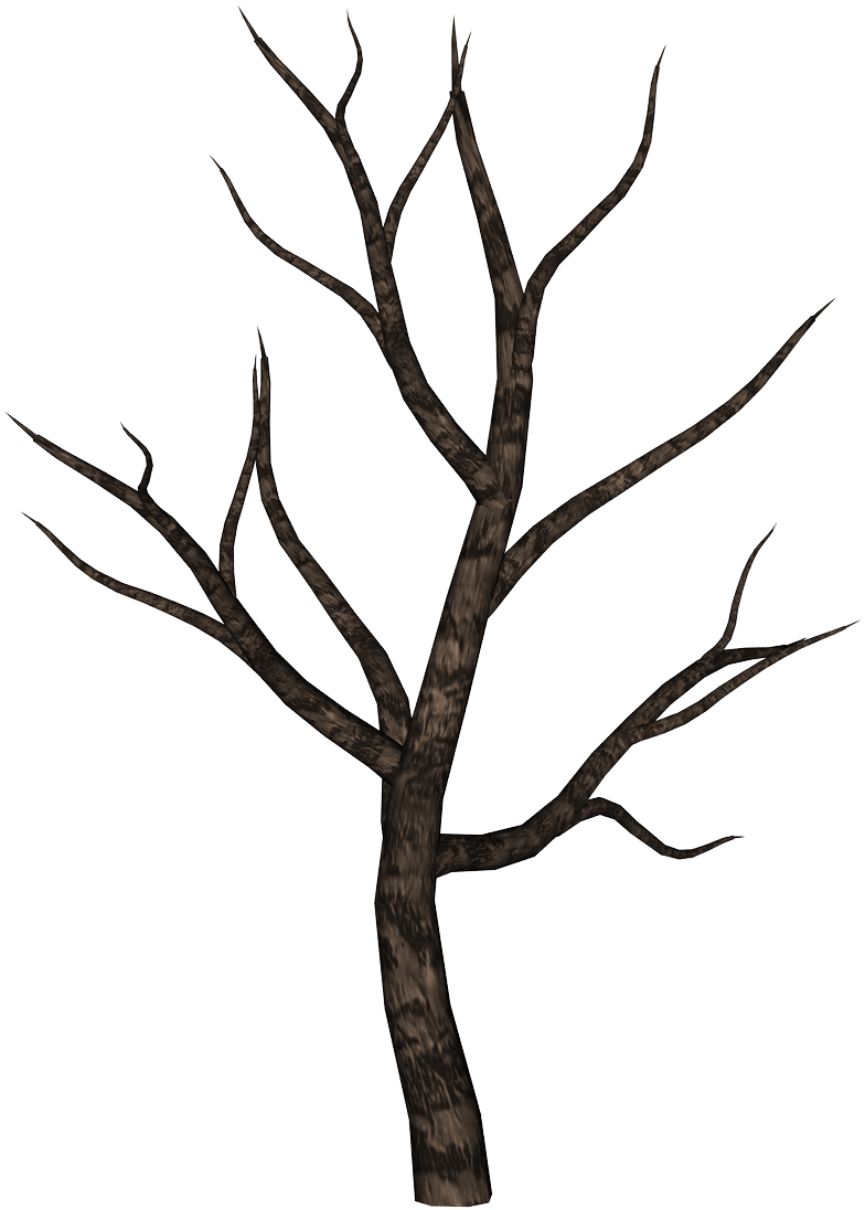 Clip Art Free Download Branch Transparent Spooky - Spooky Tree (753x1062), Png Download
