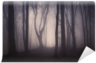 Dark Spooky Forest With Old Trees On Halloween Wall - Mural (400x400), Png Download