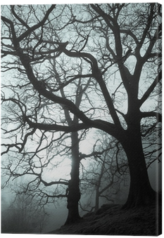 Forest (400x400), Png Download