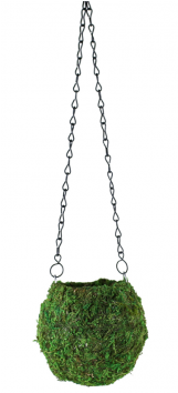Green Kokedama Moss Hanging Ball Planter - Chain (470x353), Png Download
