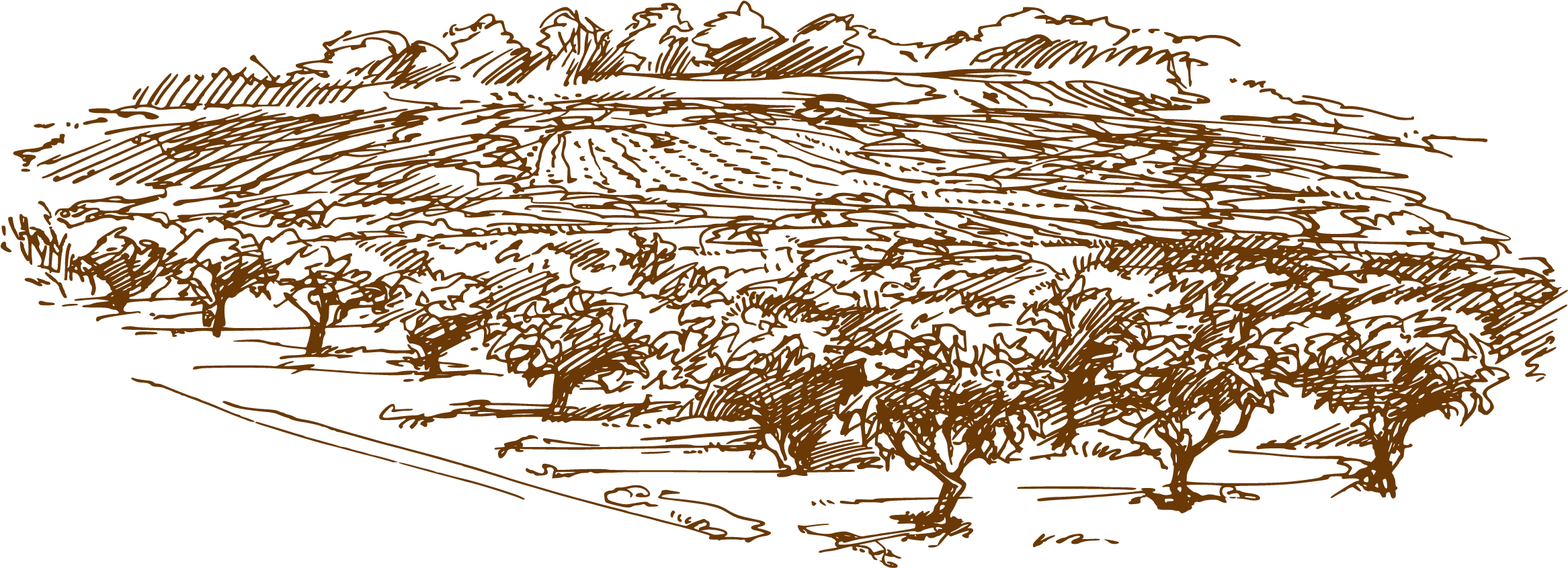 Vector Library Stock Forest Transprent Png Free Download - Wine (2545x1041), Png Download