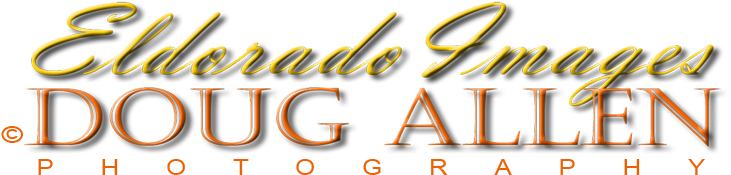 Posts Tagged “spanish Moss” (950x200), Png Download