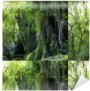 Riparian Forest (400x400), Png Download