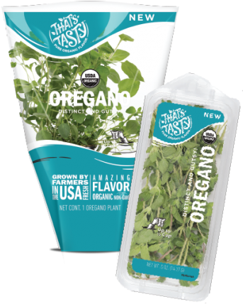 Distinct And Gutsy - Moss (540x432), Png Download