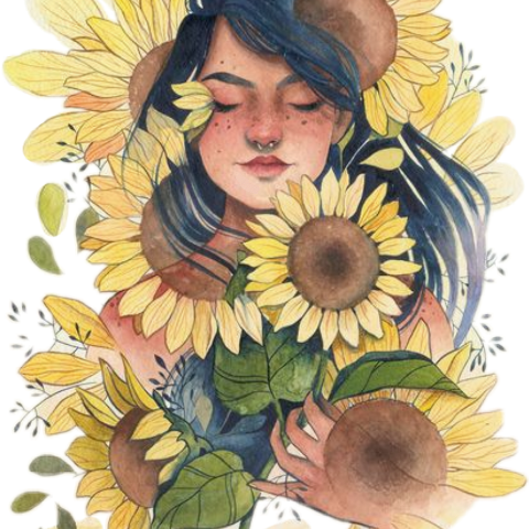 Desenho Girassol Aquarela (480x480), Png Download