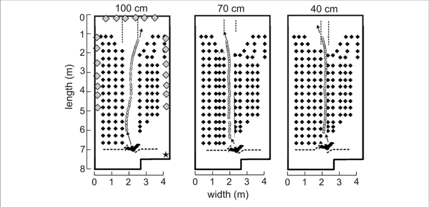 Experimental Flight Room Diagrams And Example Flights - Diagram (850x411), Png Download