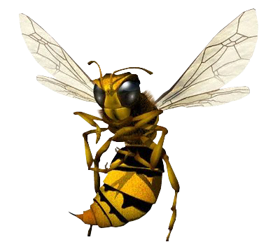Hornet (400x346), Png Download