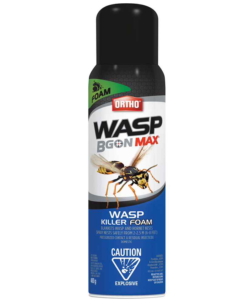 Wasp Foam Product Image - Wasp B Gon (1000x1000), Png Download