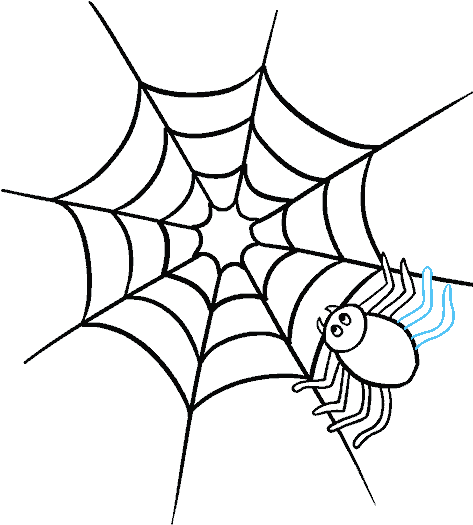 Picture Freeuse Stock Cocoon Drawing Web - Easy Spider Webs Drawing (678x600), Png Download