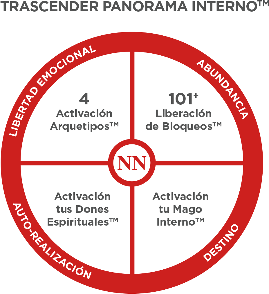 Circulo-rojo - Disk (1181x1181), Png Download