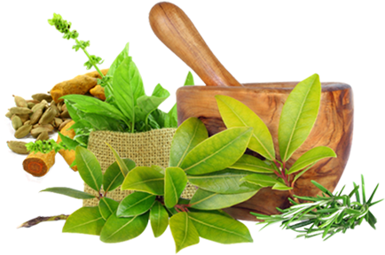Sustenance Of Health Is Central To The Well Being Of - Herbs: 50+ Natural Antibiotics And Remedies That Heal (458x292), Png Download