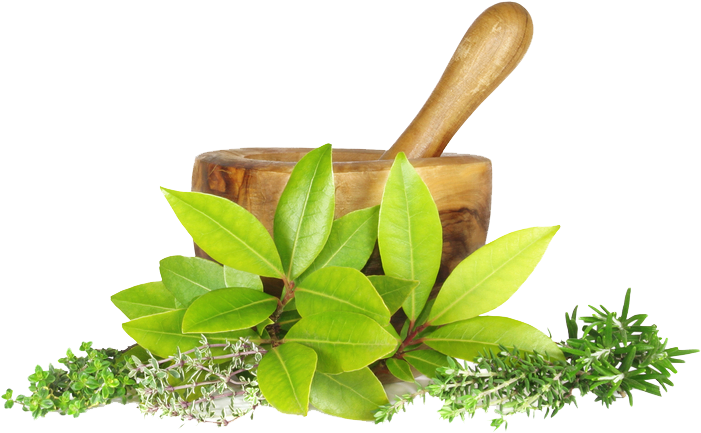 Motar - Ayurvedic Sign (744x494), Png Download