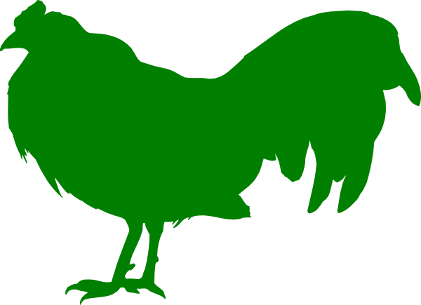 Green Chicken Clipart - Chicken Vector Green (600x435), Png Download