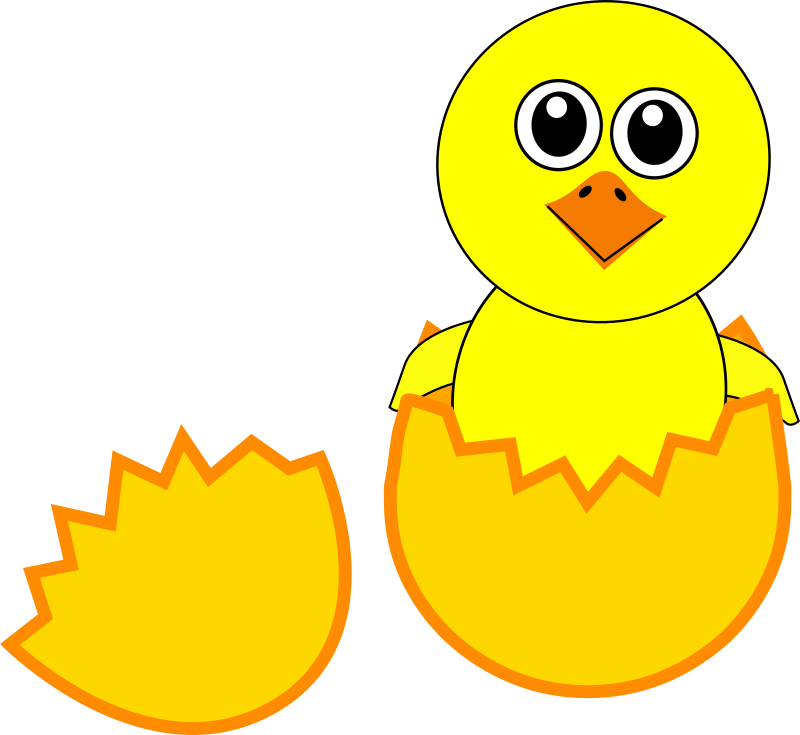 Free Cartoon Newborn Chick Clip Art - Science (800x735), Png Download