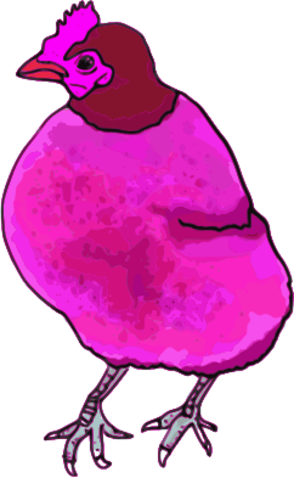 Chicken Hen Vector Clip Art Image - Pink Chiken Png (600x974), Png Download