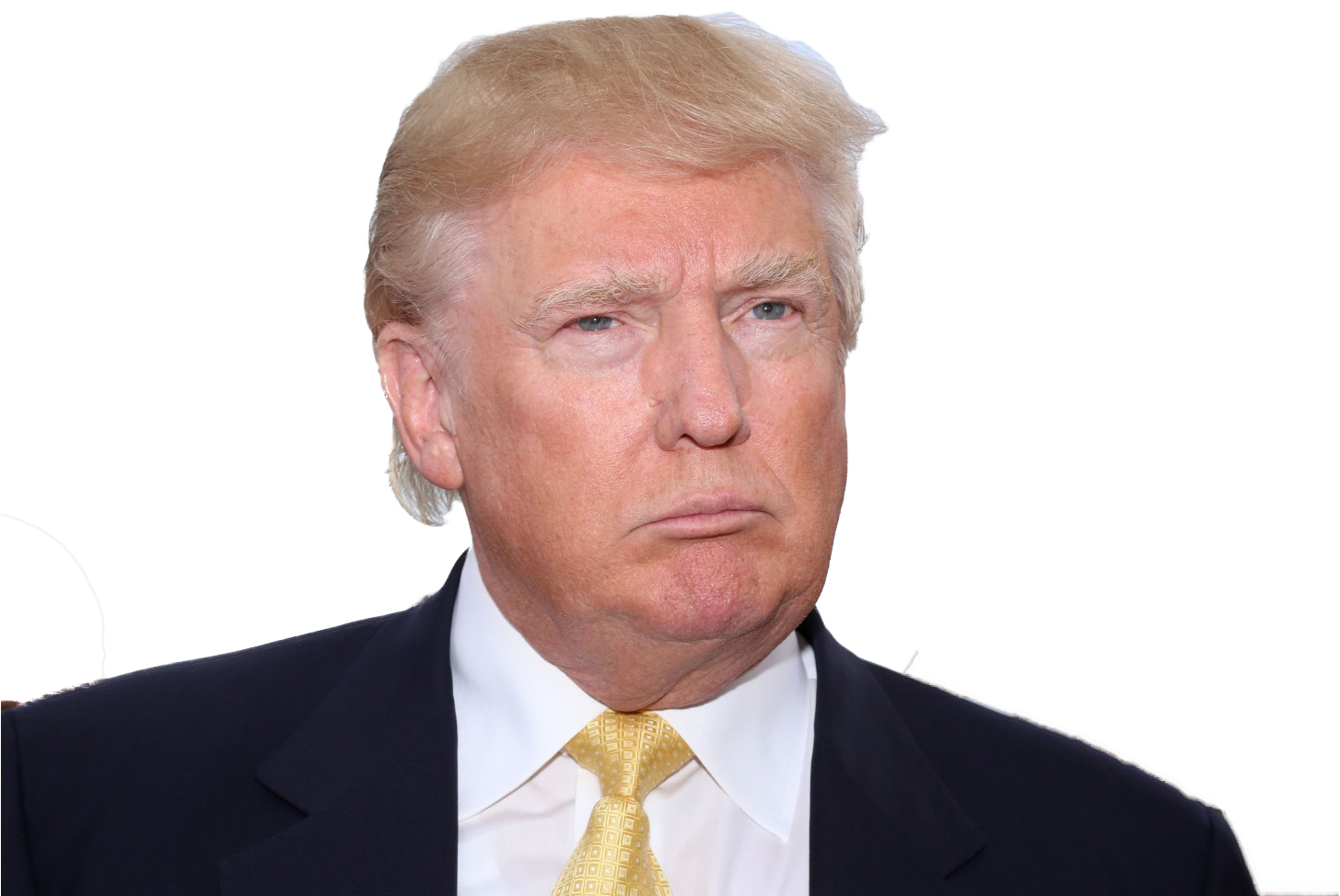 Personconfused - Donald Trump Memes Cat (1484x989), Png Download