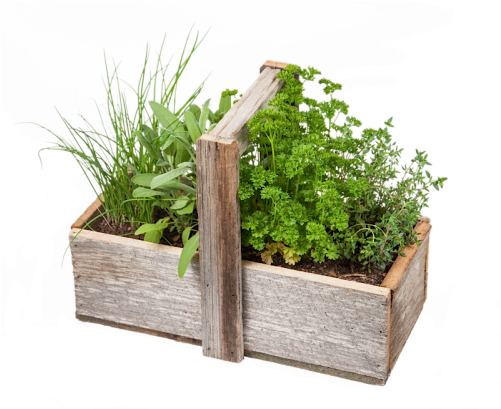 Flowerpot (500x500), Png Download