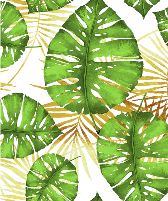 Click And Drag To Re-position The Image, If Desired - Leaf (583x700), Png Download