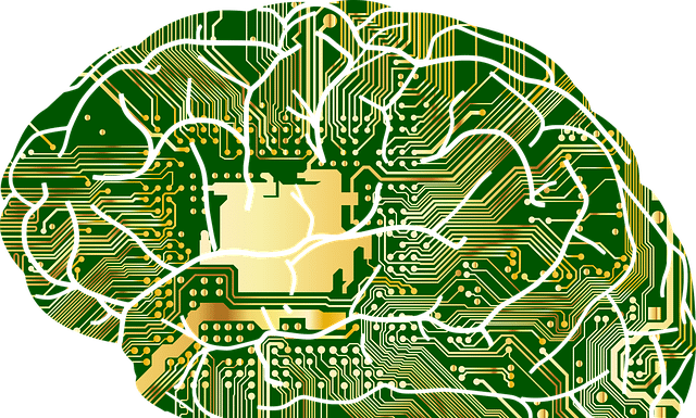 Deep Learning - Green Micro Chip Brain Green Micro Chip Brain Oval (640x385), Png Download