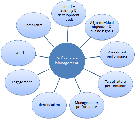 Anointing The Bruise Of Performance Appraisal - Performance Appraisal In Hr (547x481), Png Download