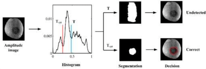 Schematic Of Bruise Segmentation By The Threshold Obtained - Diagram (850x223), Png Download