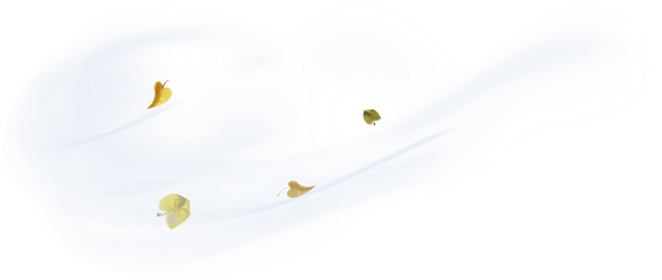 Main Wind - Honeybee (645x252), Png Download