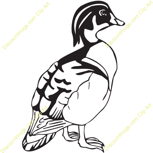 Duck Clipart Wood Duck - Wood Duck Clipart (500x500), Png Download