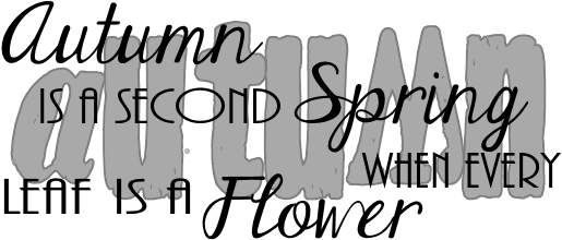 Here Is An Autumn Word Art That I Made I Hope You Can - Amber Berninger - Love You More (700x400), Png Download