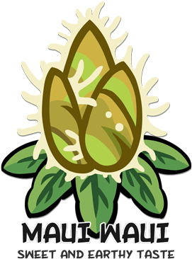 Small Pot Sprout Pot Plant Pot - Illustration (500x500), Png Download