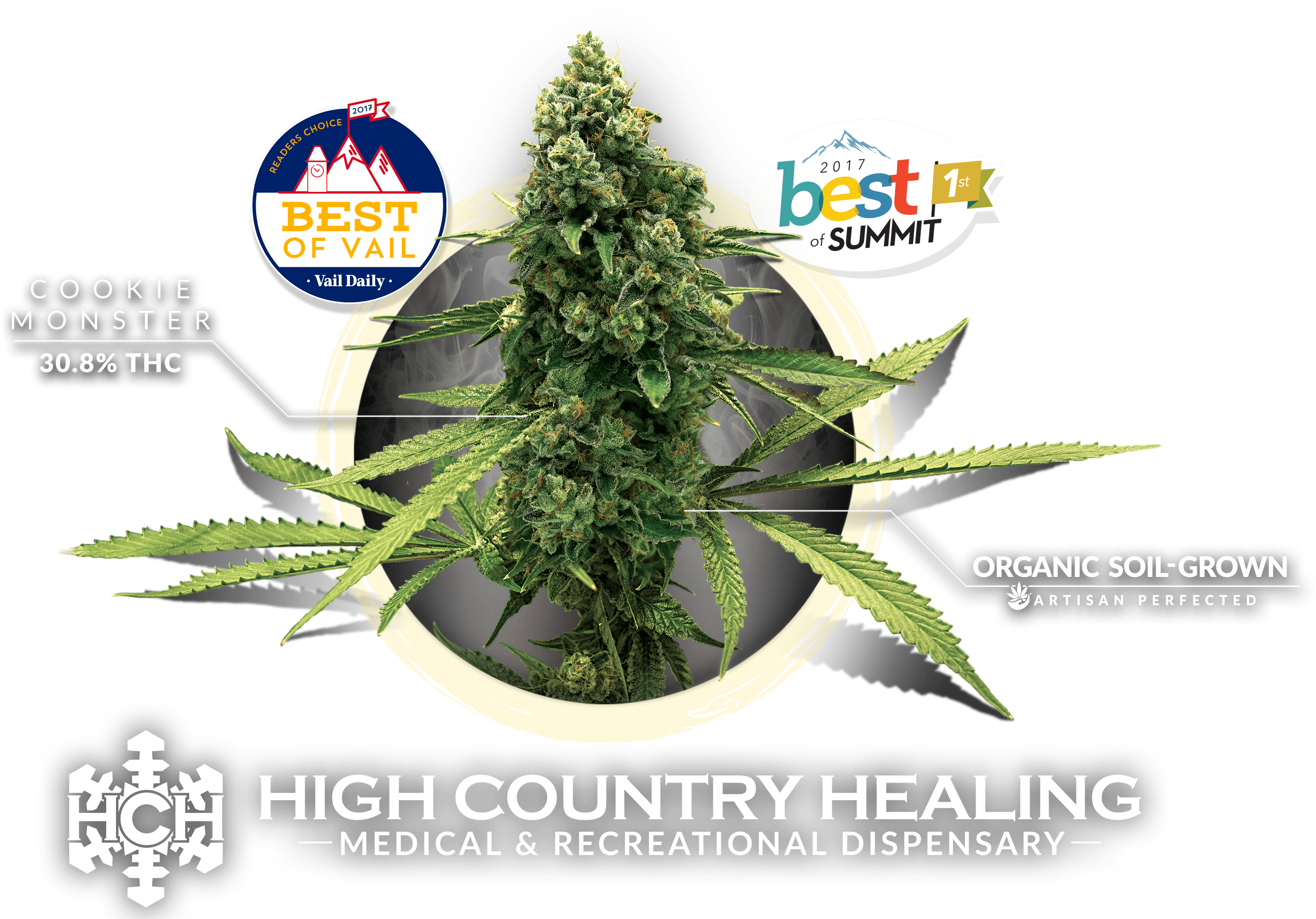 Social Link - Spruce (2828x1834), Png Download