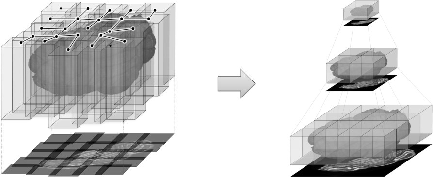 Terastitcher Is A Free Tool That Enables The Stitching - Diagram (908x370), Png Download