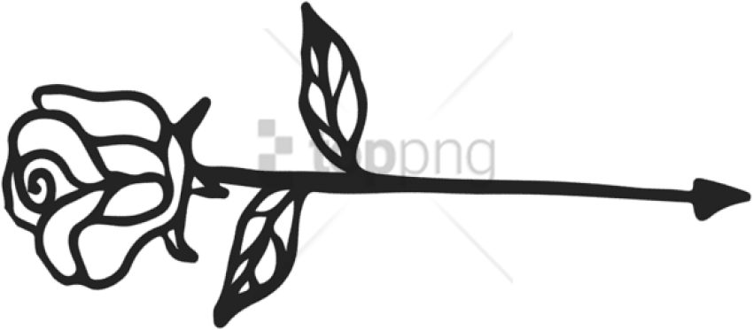 Free Png Calligraphy Arrow Line Png Image With Transparent - Arrow With Rose Png (850x373), Png Download