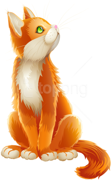 Free Png Download Orange Cat Cartoon Transparent Clipart - Transparent Background Cat Clipart (480x762), Png Download