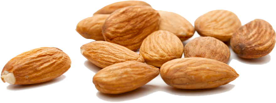 Almond - Almonds Benefits For Bodybuilding (1000x458), Png Download