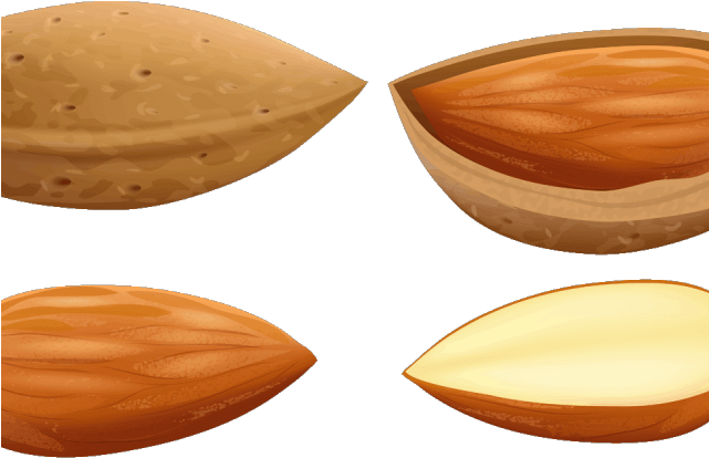 Almond Clipart Single - Chocolate (640x480), Png Download