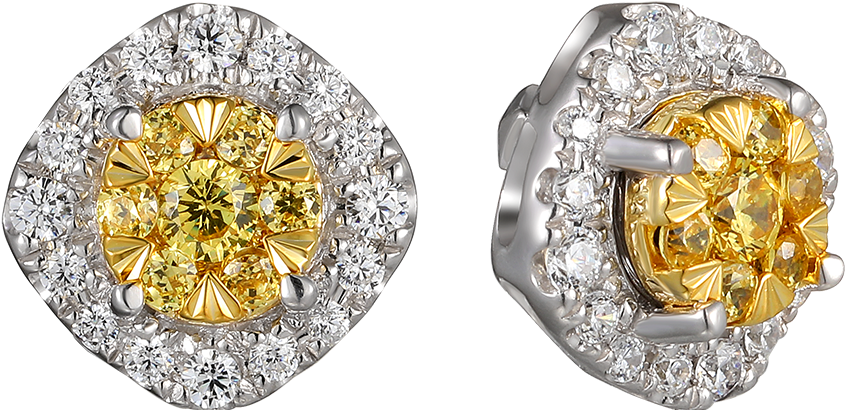 Ldg01xb00364 - Earrings (1000x1000), Png Download