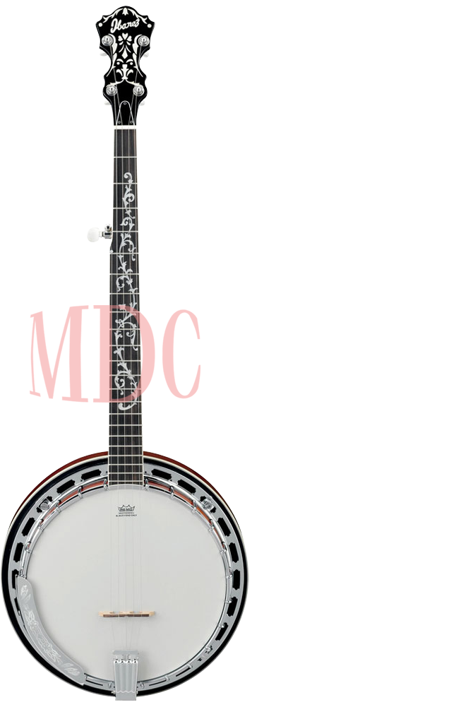 Ibanez Banjo Acoustic Guitar - Recording King Elite 75 (1000x1000), Png Download