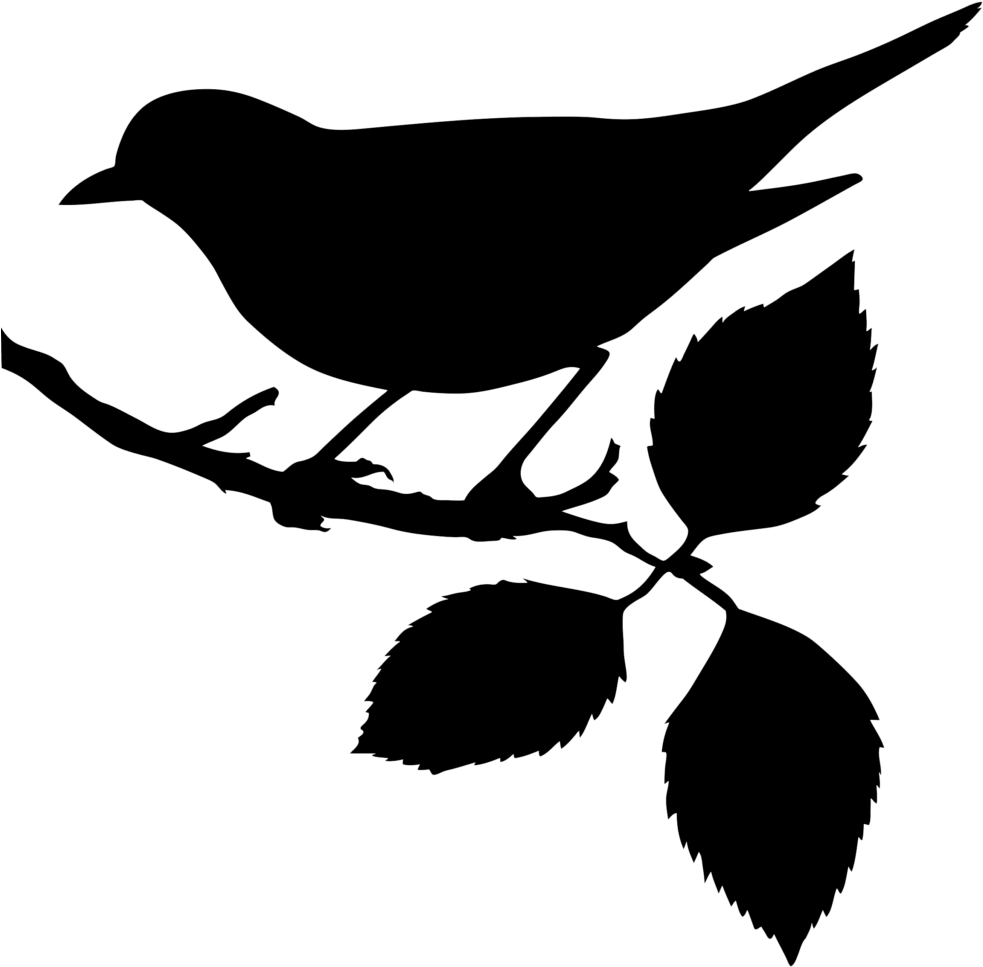 Kingfisher - Bird On A Branch Silhouette (1024x1024), Png Download